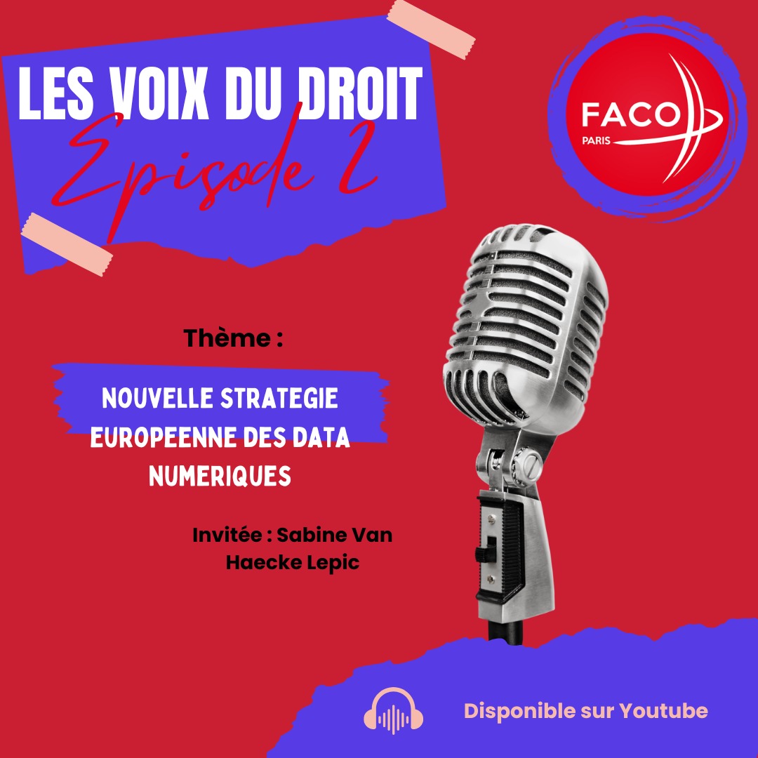 voix du droit : strategie europenne des data numeriques